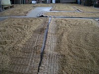 ����������܂�