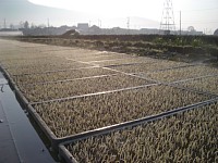 �肪�o�܂���