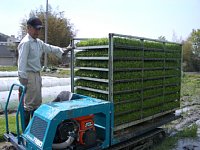 �c�A���ł���c�ɂȂ�܂���