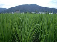 7��12���@���������܂�