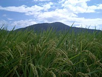 ���������܂��@8��16��