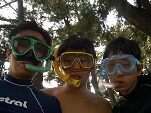 �V���m�[�P�����O��