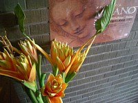 �I�V�����ȃA�N�Z���g