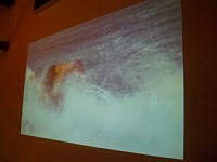 �z�[���V�A�^�[