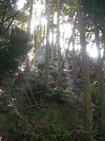 �؁X�����蔲�����