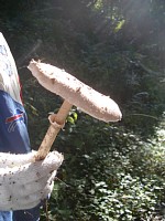 �J���J�T�^�P