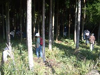 �L�m�R�T��