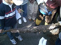 �q�ǂ��������Ă����L�m�R