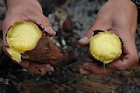 �ق��ق��A�Ă���