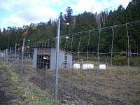 ���q�A���n