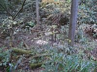 �C�m�V�V�̎d�|��