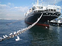 �R�������̑D