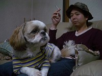 �܂�����̃`���b�s�[