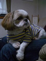 �`���b�s�[