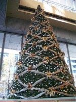 �ۃr���̃c���[