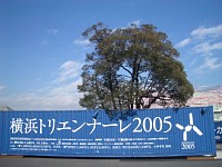 ���l�g���G���i�[��2005