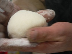 �݂��ۂ߂܂�