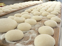 �ۂ߂�ꂽ����