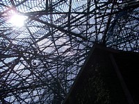 ���v����{��