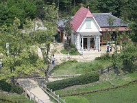 �T�c�L�ƃ��C�̉�