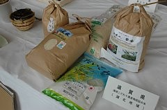 �Ζk�Y�̂���