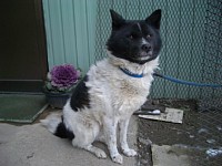 ��񂱂�Ɛ\���܂�