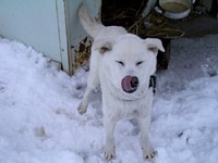 2��3���V��