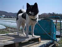 4��9����񂱂�