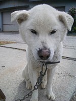 5��8���V��