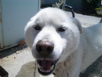 5��19���V��