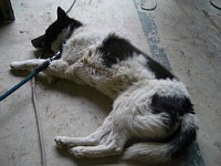 5��24����񂱂�