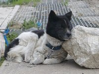 �����S�n��������