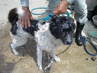 ��񂱂�A�􂢂܂�