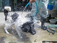 ��񂱂�A�􂢂܂�