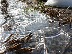 �c��ڂɒ������X