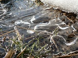 �c��ڂɒ������X