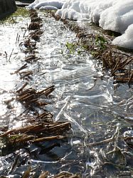 �c��ڂɒ������X