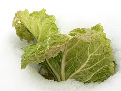 ����o������