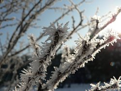 ��̌������o�����}