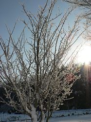 �X�Â�����