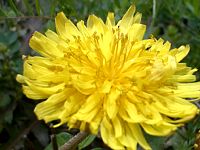 ����ۂۃA�b�v