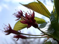 �t���@�A�b�v