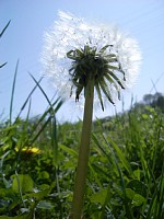 ����ۂۂ��Ȗт�