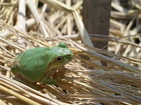 �J�G������