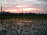 6��12���[�Ă�