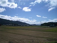 �H�̓c���i��