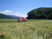 ����A���n�̋G��