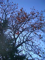 �����A�����ς��I