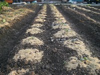 �t�L���x�c�̐�