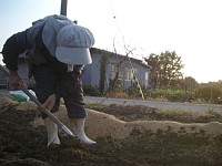 ���q���΂������